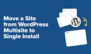 Switch multi-site wordpress to standalone